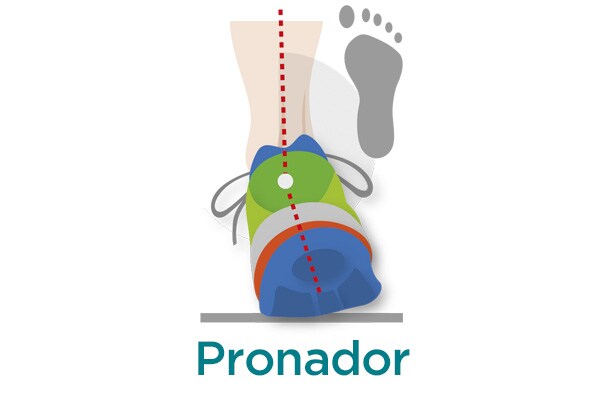 Pronador Pronador