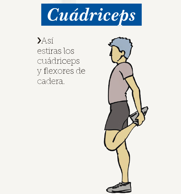 dep 1710 manual running cuadriceps dep 1710 manual running cuadriceps