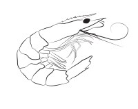 H_cocina-de-autor_ultramar_05dib H_cocina-de-autor_ultramar_05dib