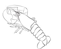 H_cocina-de-autor_ultramar_07dib H_cocina-de-autor_ultramar_07dib