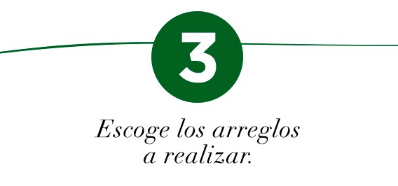 HM_PI_Composturas_Paso3_b HM_PI_Composturas_Paso3_b