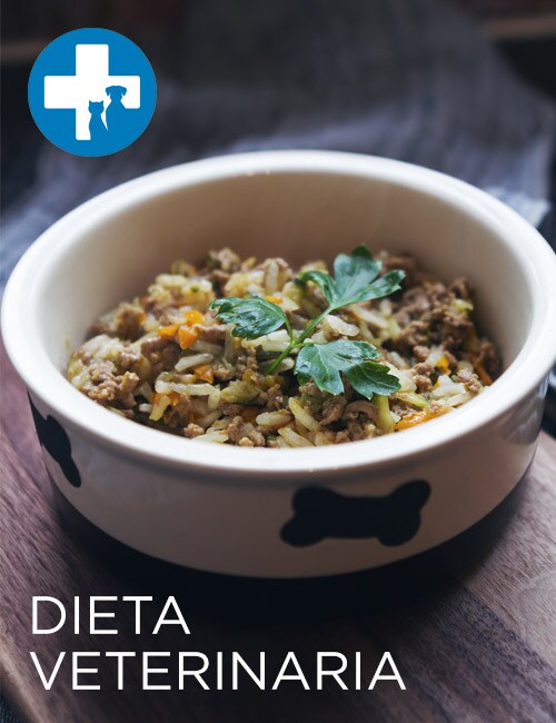 DIETA VETERINARIA DIETA VETERINARIA