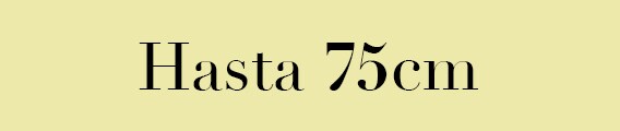 Normativa R129 hasta 75cm Normativa R129 hasta 75cm