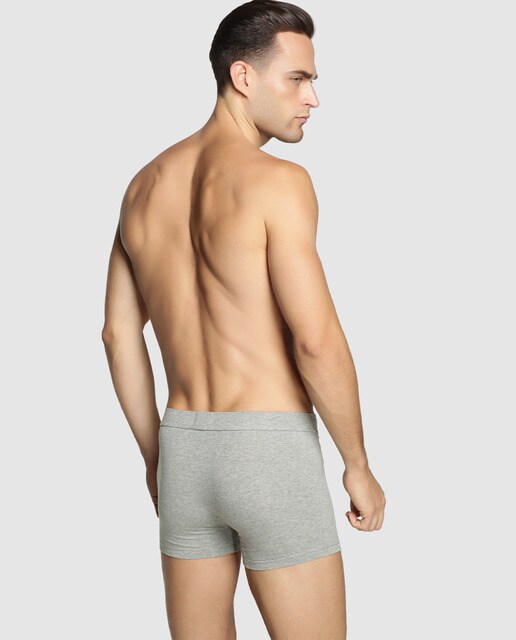 Pack de dos boxers de hombre grises