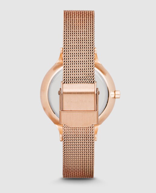 Reloj de mujer Skagen Anita de acero