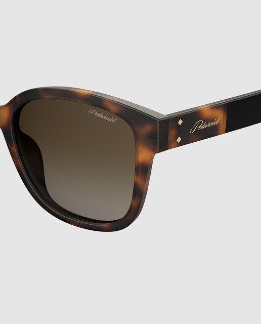 Gafas de sol de mujer Polaroid cuadradas en havana con lente marrón