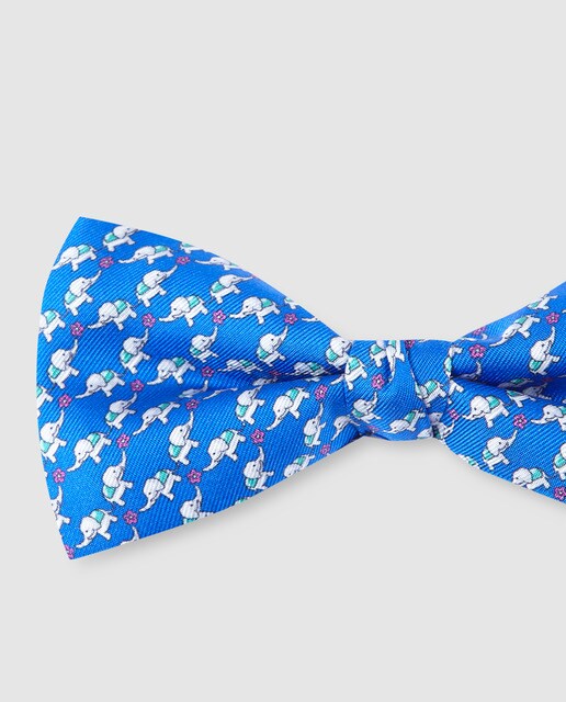 Laço de seda azulão com estampado de animais