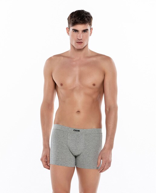 Pack de dos boxers de hombre grises
