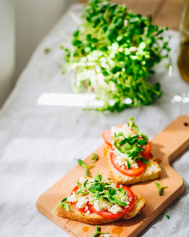 Tostas de Pão Rústico com Tomate e Manjericão Tostas de Pão Rústico com Tomate e Manjericão