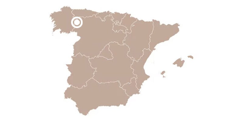 REGION DE ELABORACION REGION DE ELABORACION