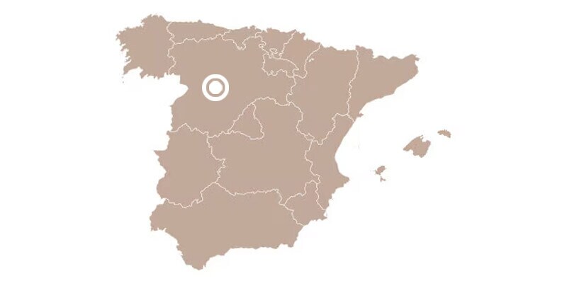 REGION DE ELABORACION REGION DE ELABORACION