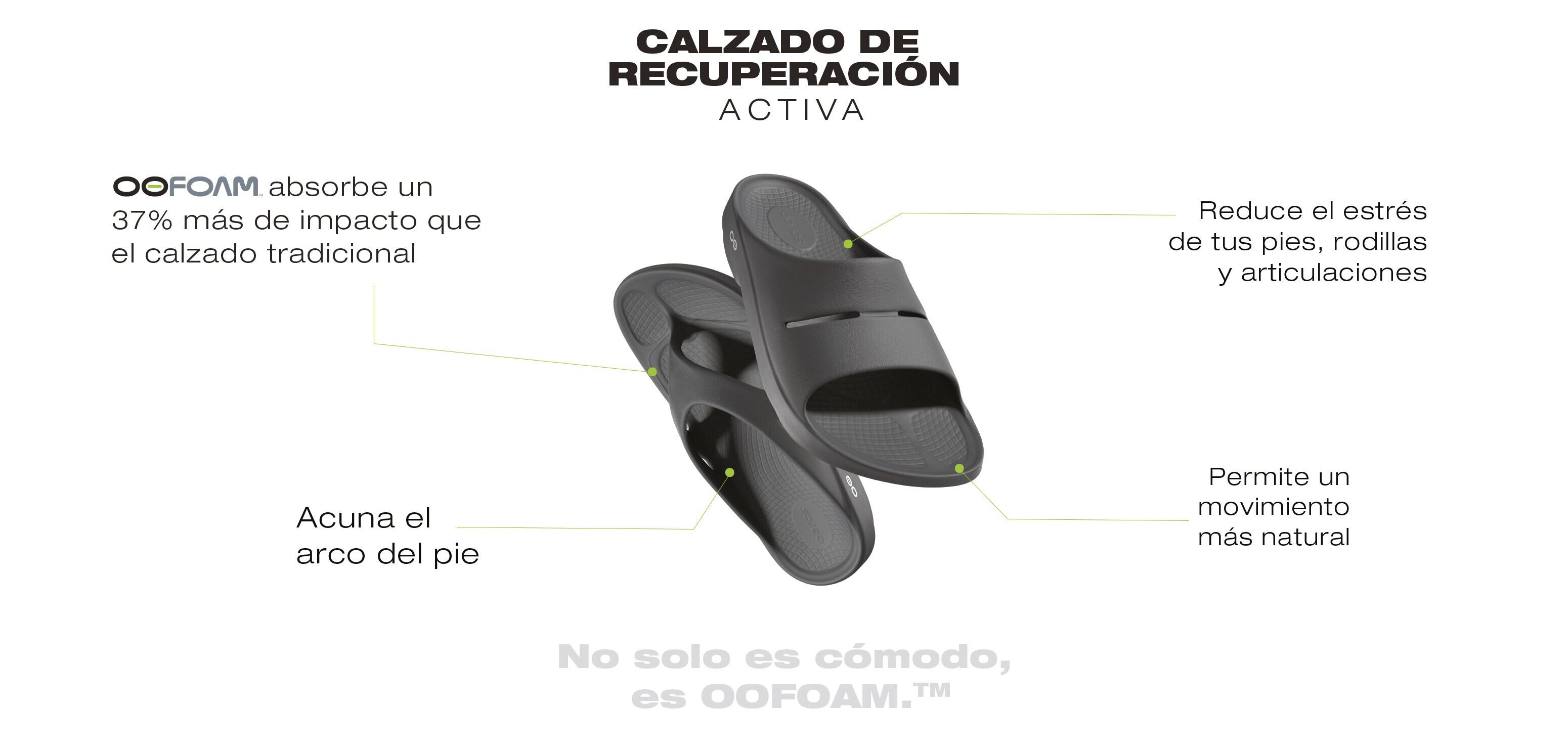 OOFOAM OOFOAM