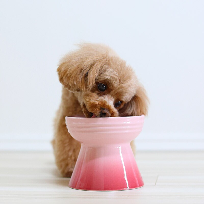 Comida húmeda para perro Comida húmeda para perro