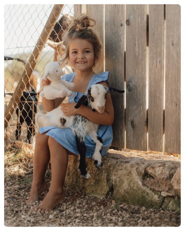 Little Farm Little Farm