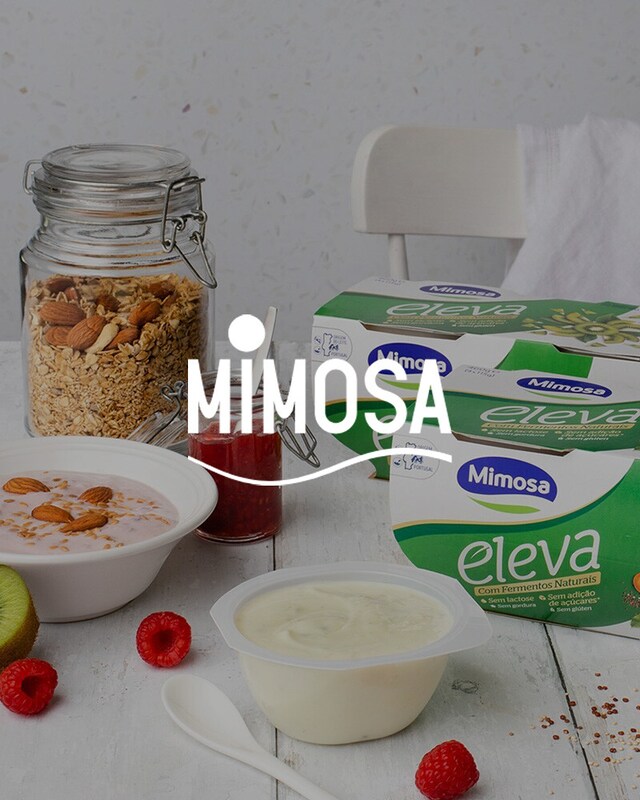 Mimosa Mimosa