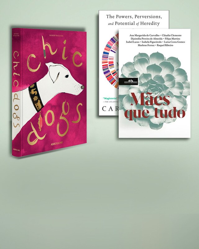 Livros Livros