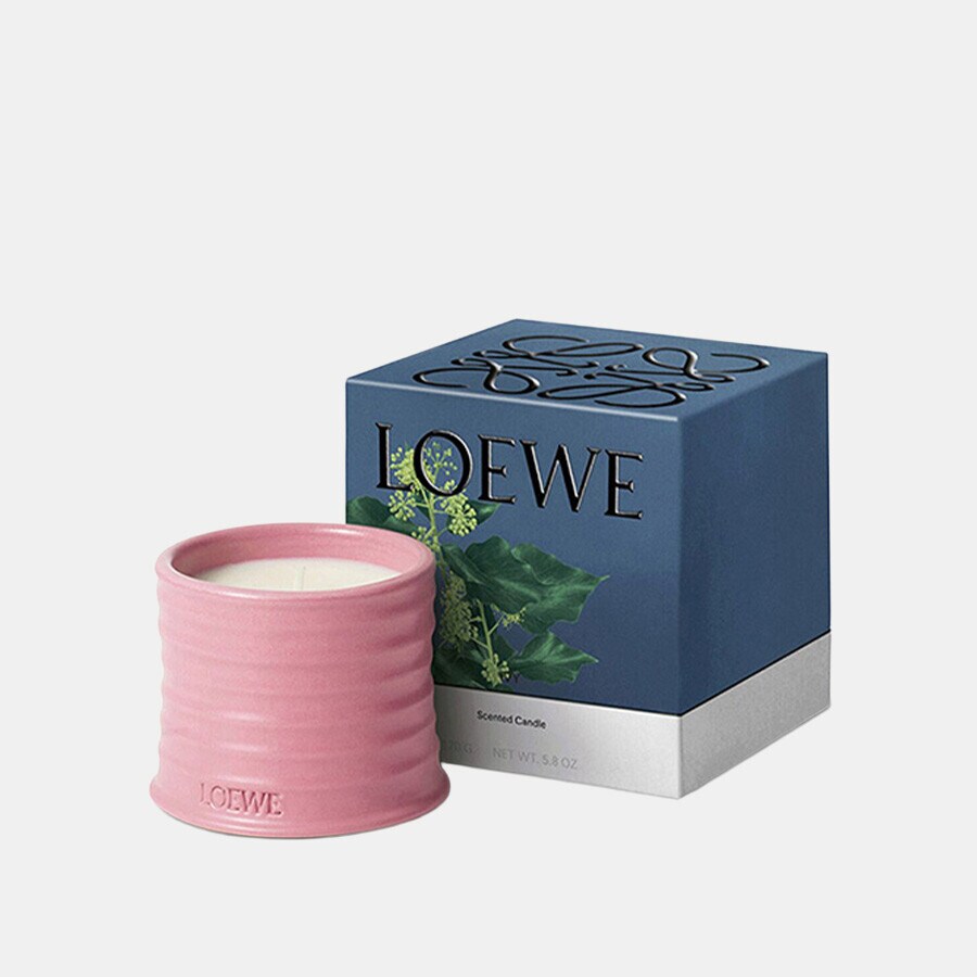 LOEWE LOEWE