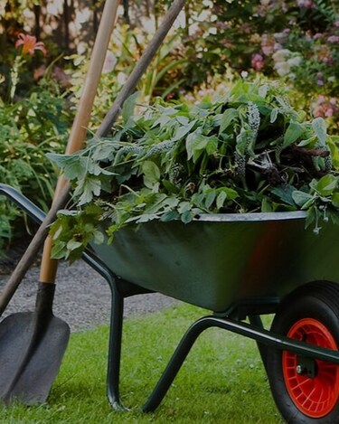 Como Cuidar do Jardim para o Verão Como Cuidar do Jardim para o Verão