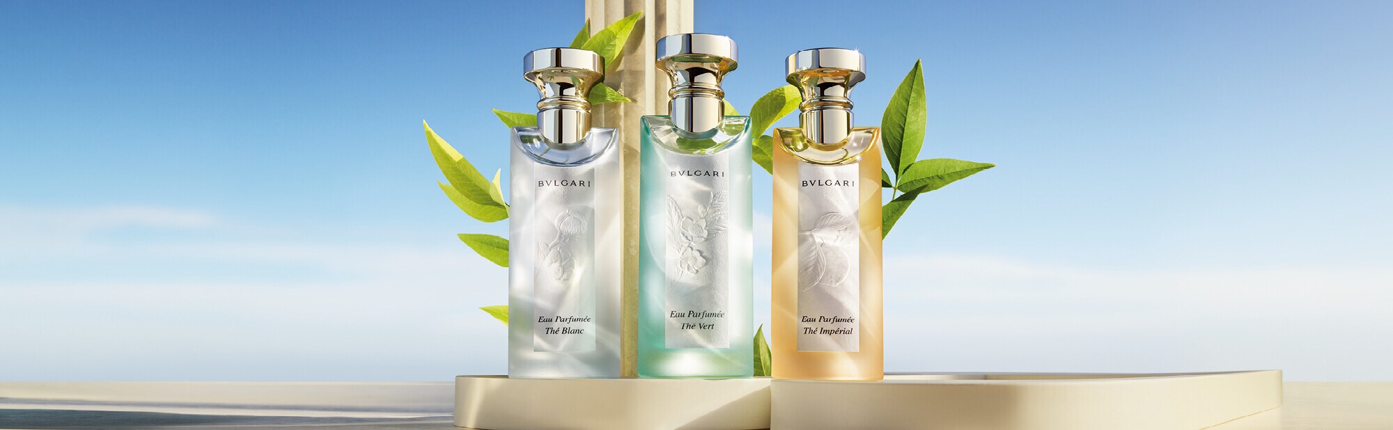 bvlgari bvlgari