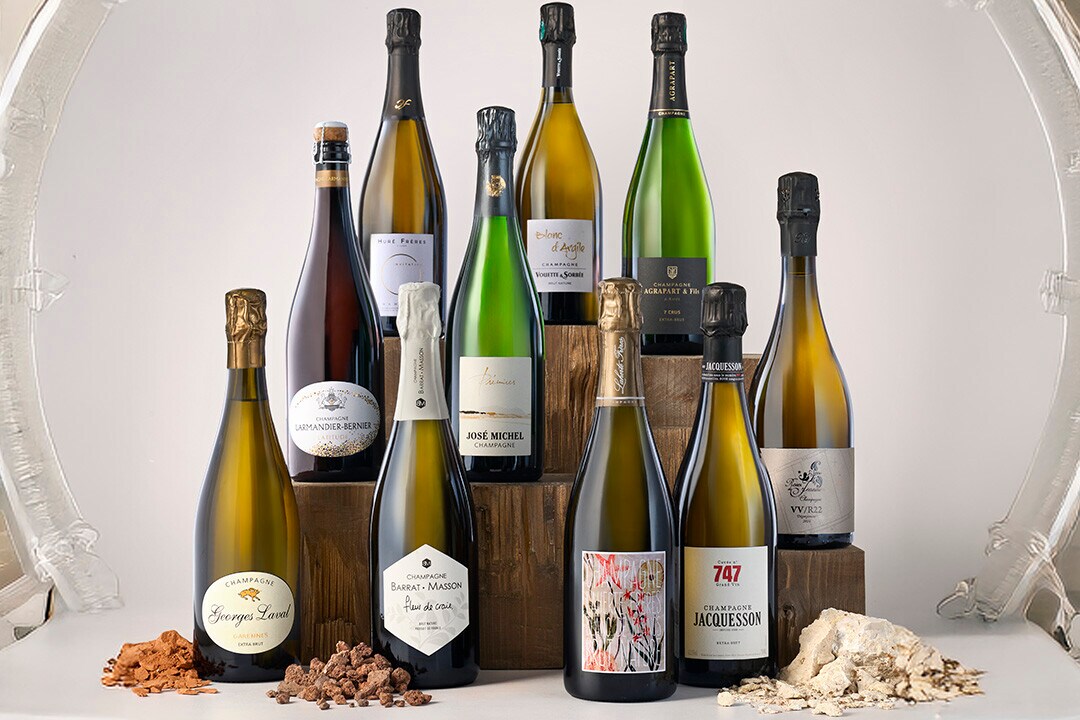 Descubre los vignerons Descubre los vignerons