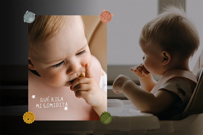 Baby Led Weaning Baby Led Weaning