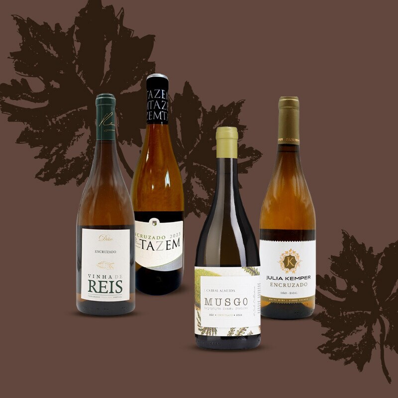 Vinhos Encruzado Vinhos Encruzado
