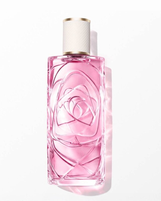 Fragrâncias Fragrâncias