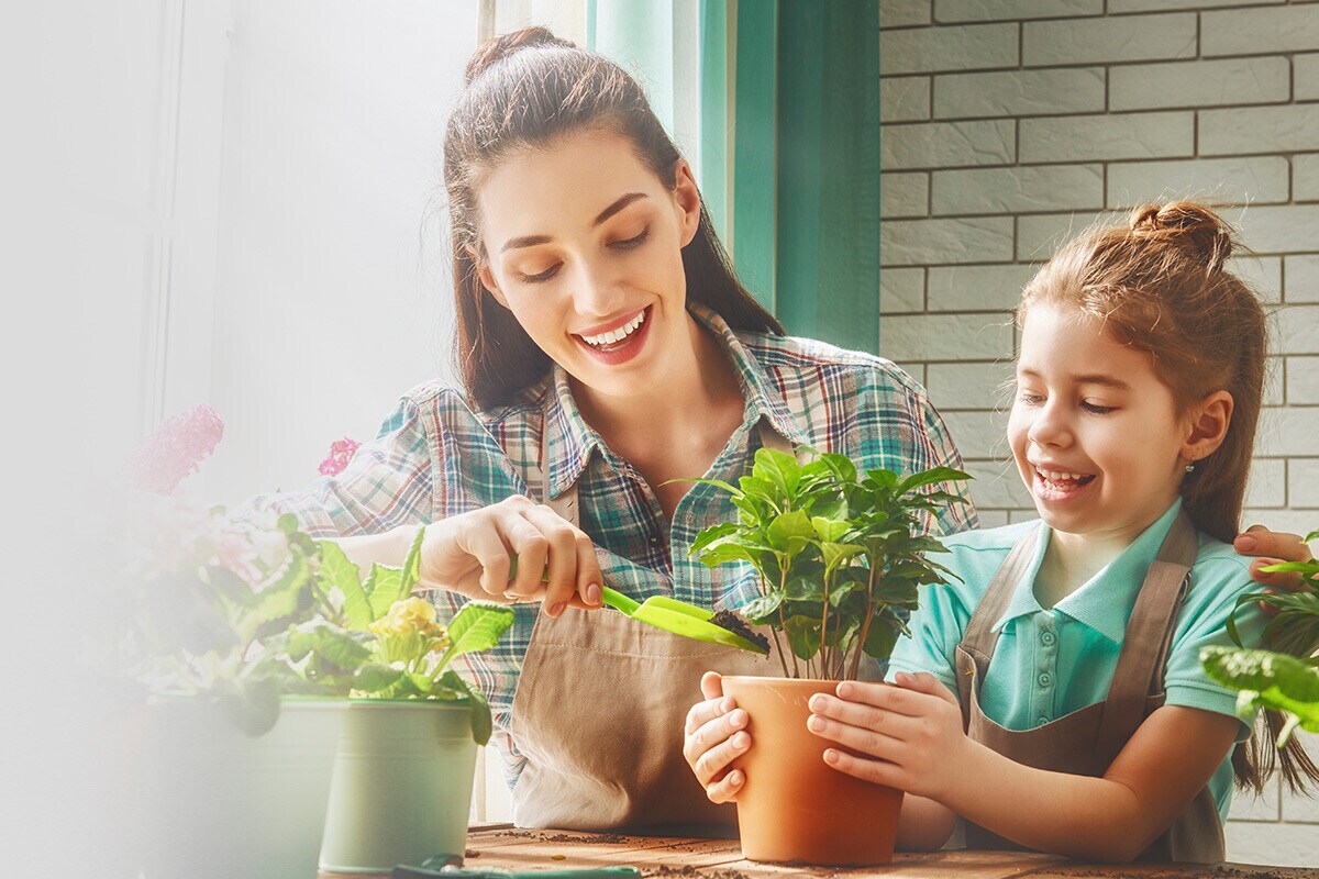 Vithal Garden ofrece soluciones fáciles de usar, que funcionan y que contribuyen a regenerar los espacios en busca de una mejor salud para ti y los tuyos, para tus mascotas y para el planeta promoviendo prácticas que mejoran la salud del suelo, aumentan la biodiversidad y favorecen la sostenibilidad del ecosistema. Vithal Garden ofrece soluciones fáciles de usar, que funcionan y que contribuyen a regenerar los espacios en busca de una mejor salud para ti y los tuyos, para tus mascotas y para el planeta promoviendo prácticas que mejoran la salud del suelo, aumentan la biodiversidad y favorecen la sostenibilidad del ecosistema.