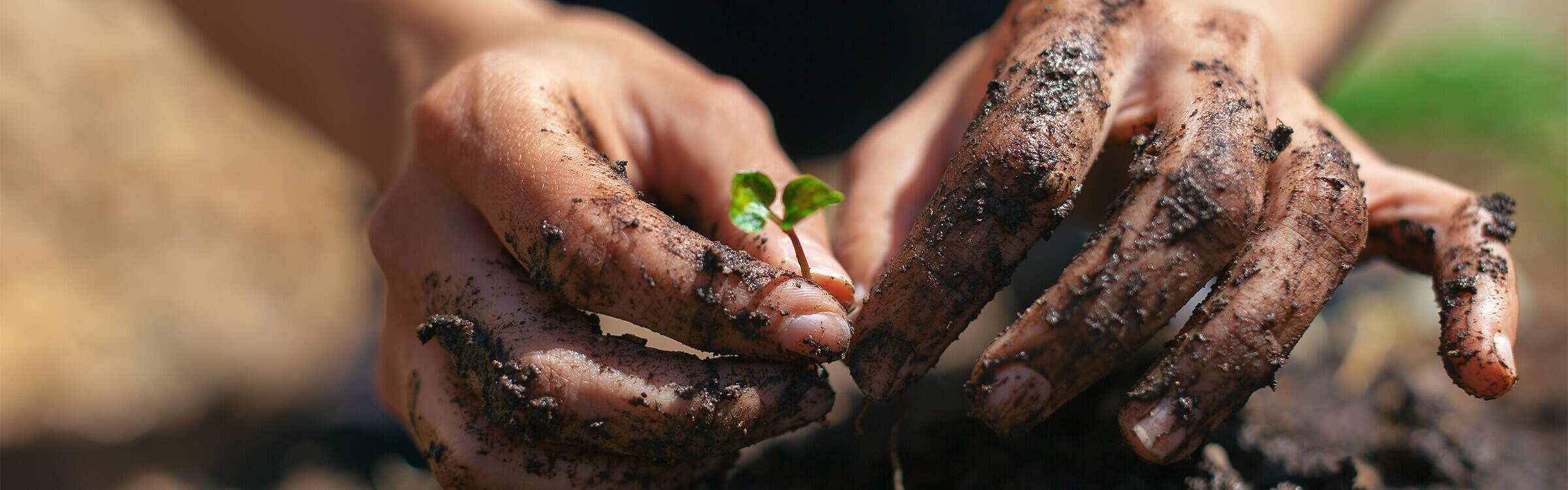 Vithal Garden Save the planet Vithal Garden Save the planet