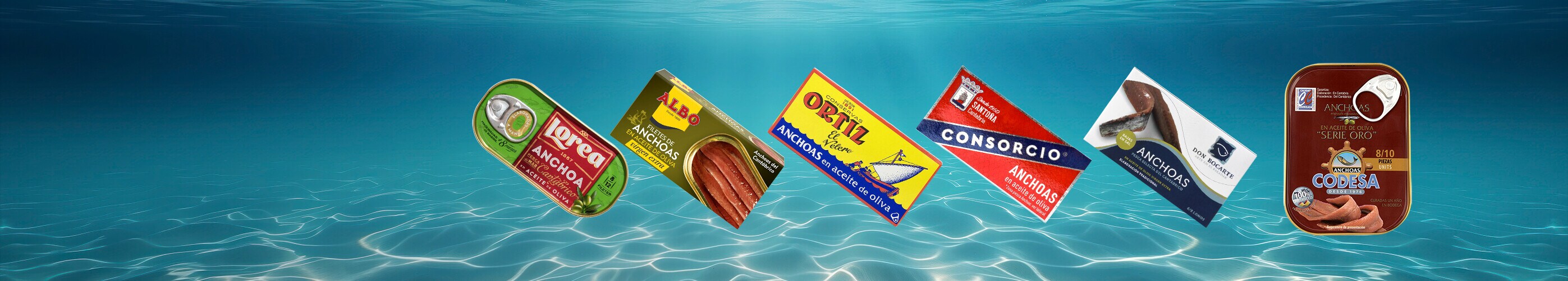 Anchoas Anchoas