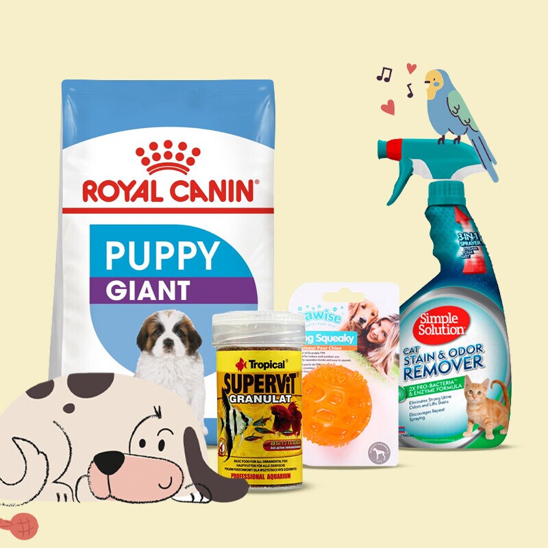Tudo para o seu Animal de Companhia Tudo para o seu Animal de Companhia