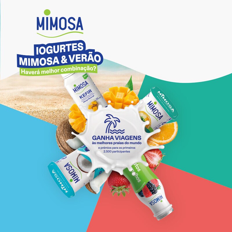 Mimosa Mimosa