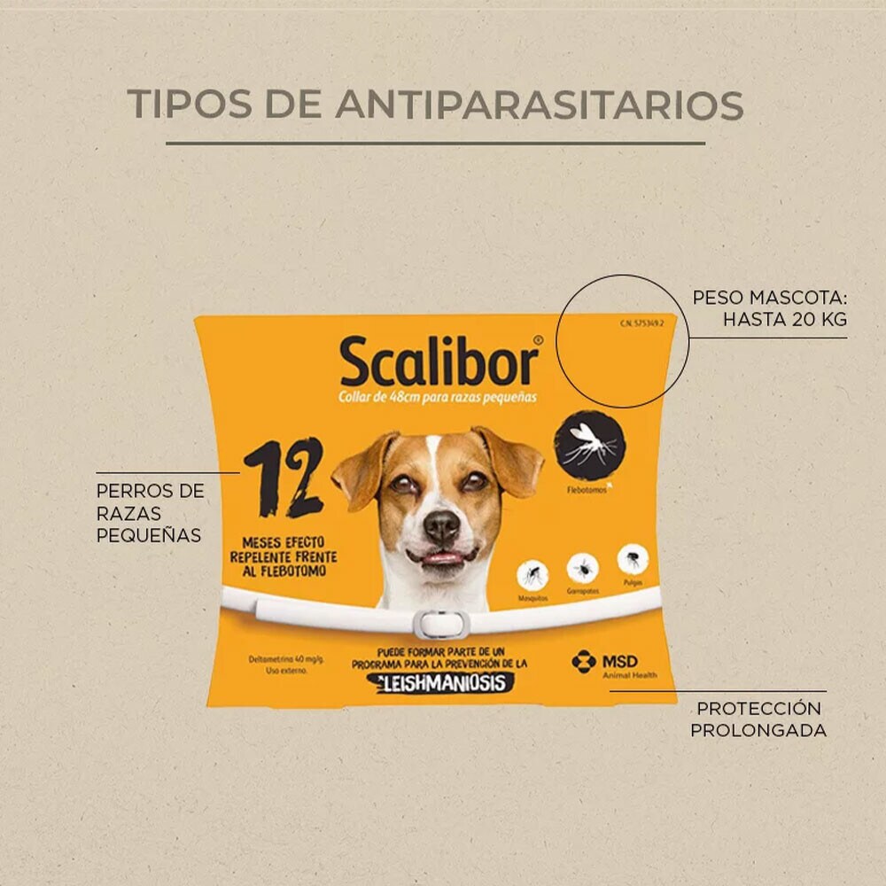 Tipos de antiparasitarios para perros y gatos: Tipos de antiparasitarios para perros y gatos: