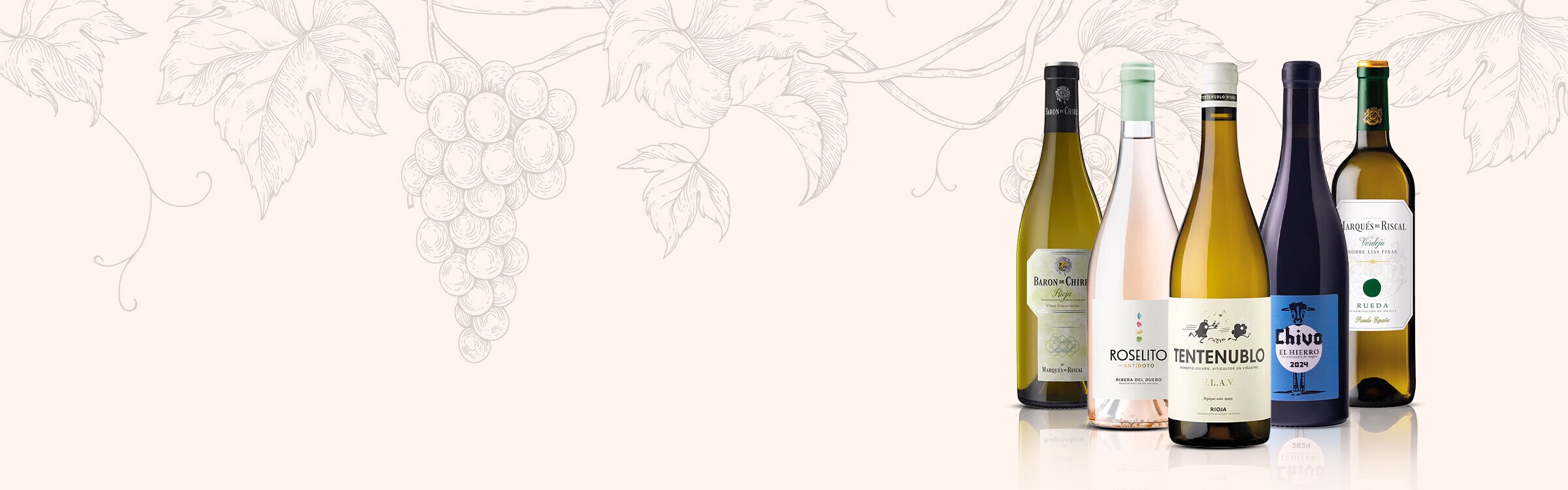 Vinos jóvenes Vinos jóvenes