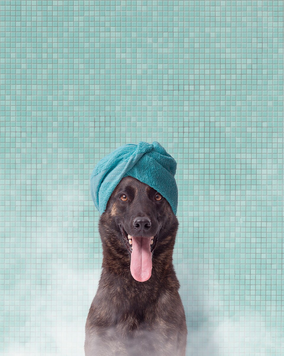 Después del viaje, toca refrescarse Después del viaje, toca refrescarse