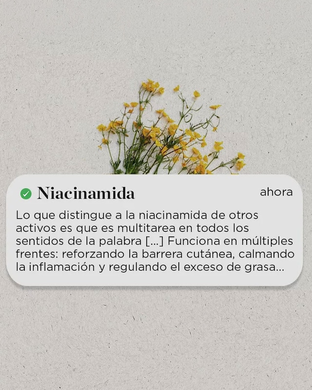 Niacinamida: el activo para todo Niacinamida: el activo para todo