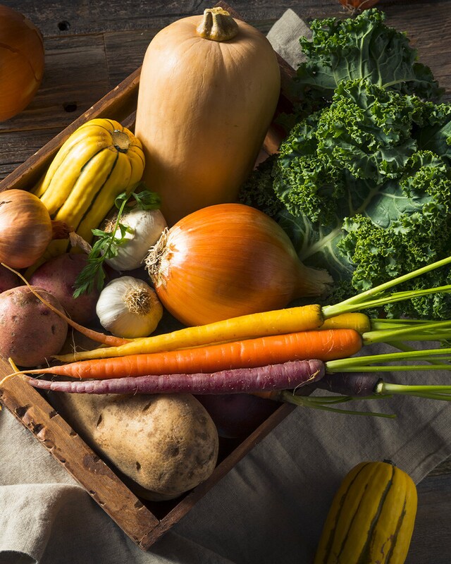 Produtos Sustentáveis e Ecológicos Produtos Sustentáveis e Ecológicos