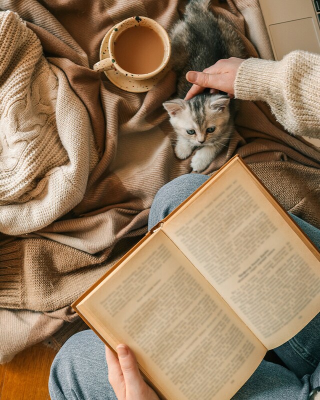 Livros - Literatura Livros - Literatura