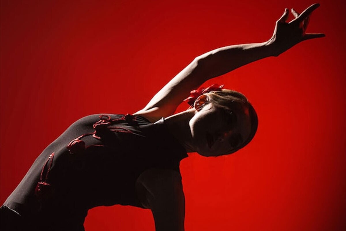 Flamenco Flamenco