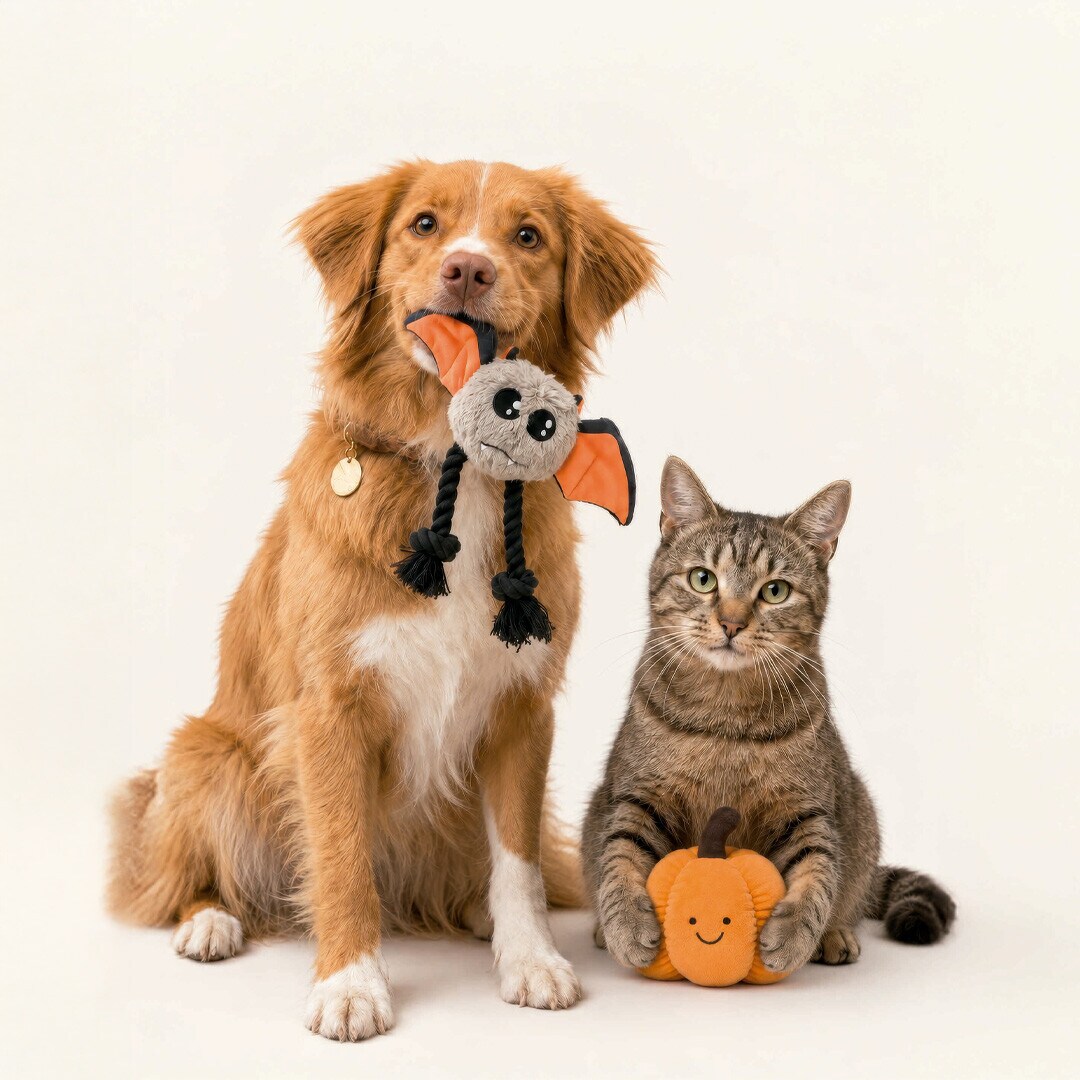 Mascotas 2ª unidad hasta-50% Mascotas 2ª unidad hasta-50%