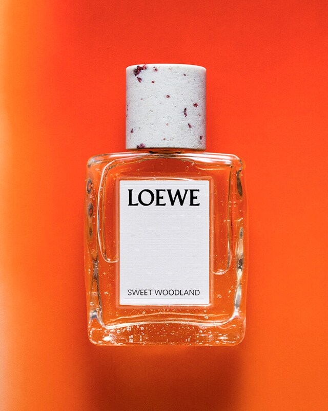 Loewe Loewe