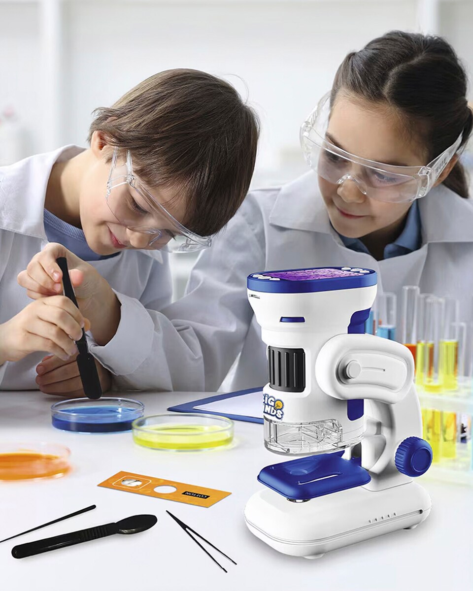 Ciencia y Manualidades Ciencia y Manualidades
