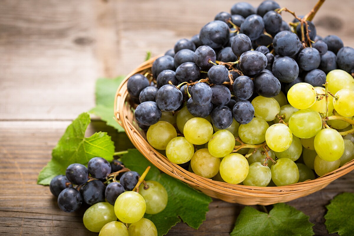 Uvas excelentes Uvas excelentes