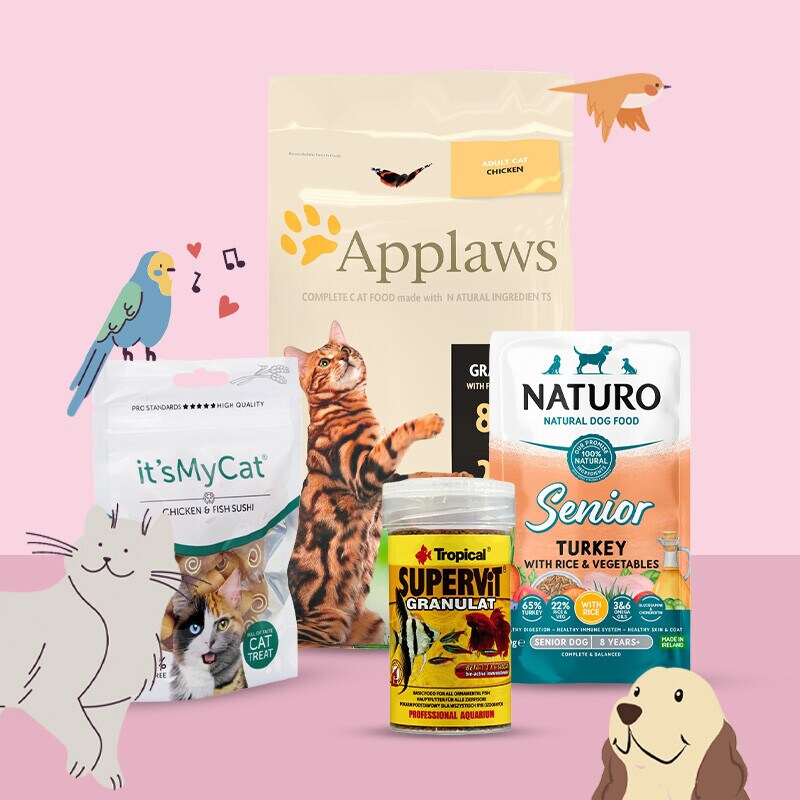 Tudo para o seu Animal de Companhia Tudo para o seu Animal de Companhia