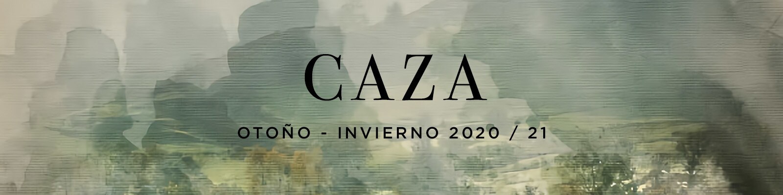 Caza financiacion cabecera Caza financiacion cabecera
