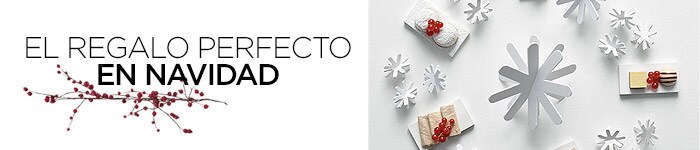 El regalo perfecto en Navidad El regalo perfecto en Navidad