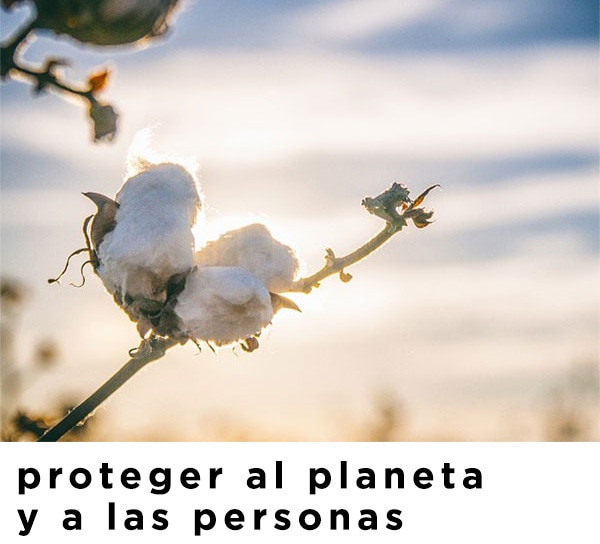Para proteger al planeta Para proteger al planeta