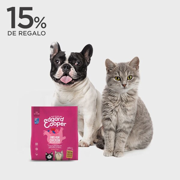 Mascotas 15% de regalo Mascotas 15% de regalo