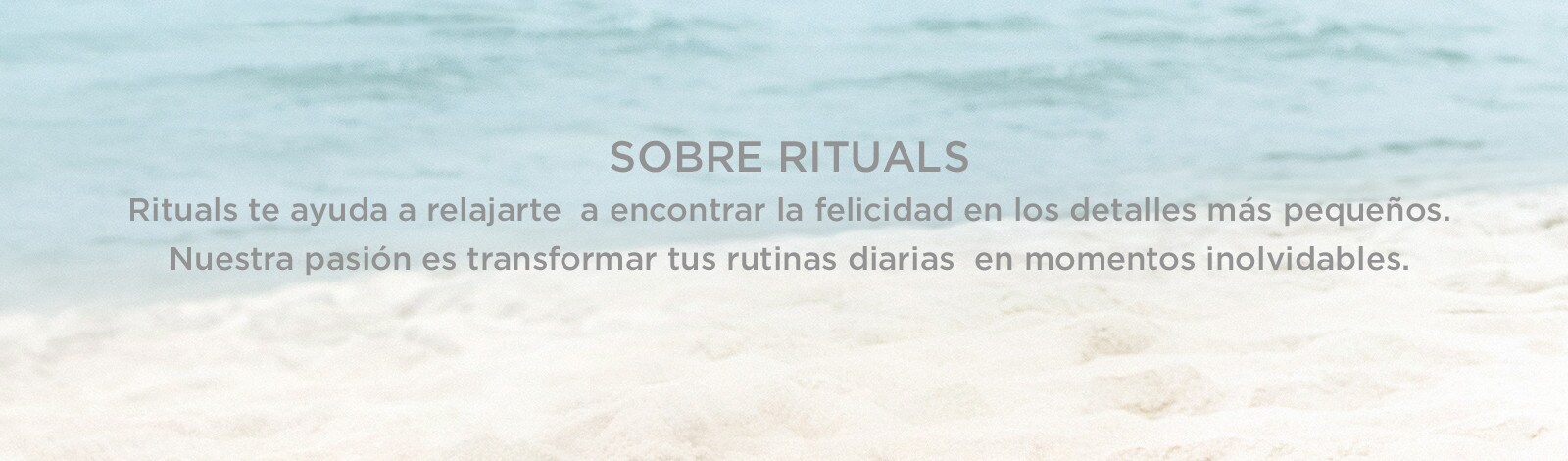 ECI Footer ECI Footer