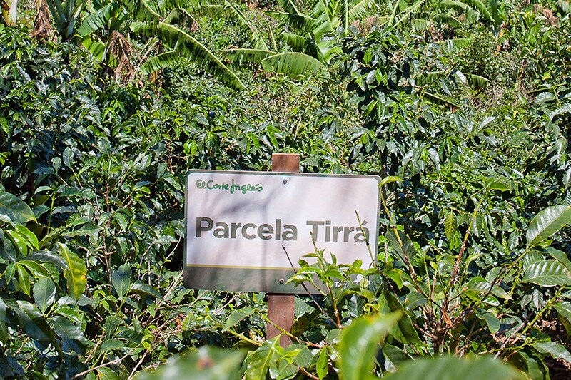 H ORIGENES Cafe Costa Rica 0921 foto origen del cafe 3 H ORIGENES Cafe Costa Rica 0921 foto origen del cafe 3